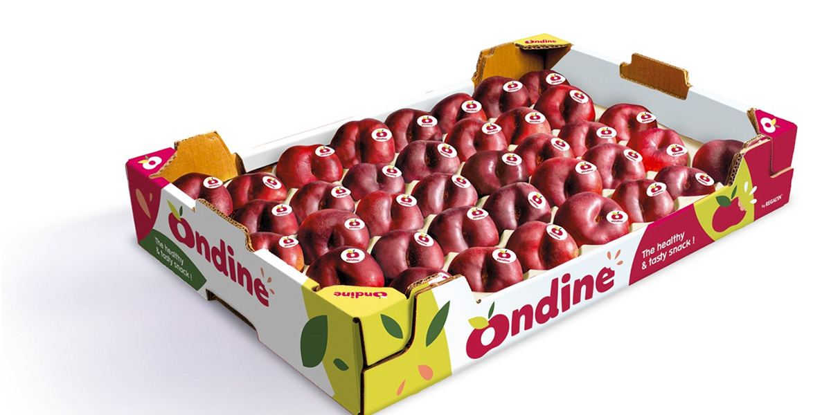 Ondine: partenza entusiasmante!